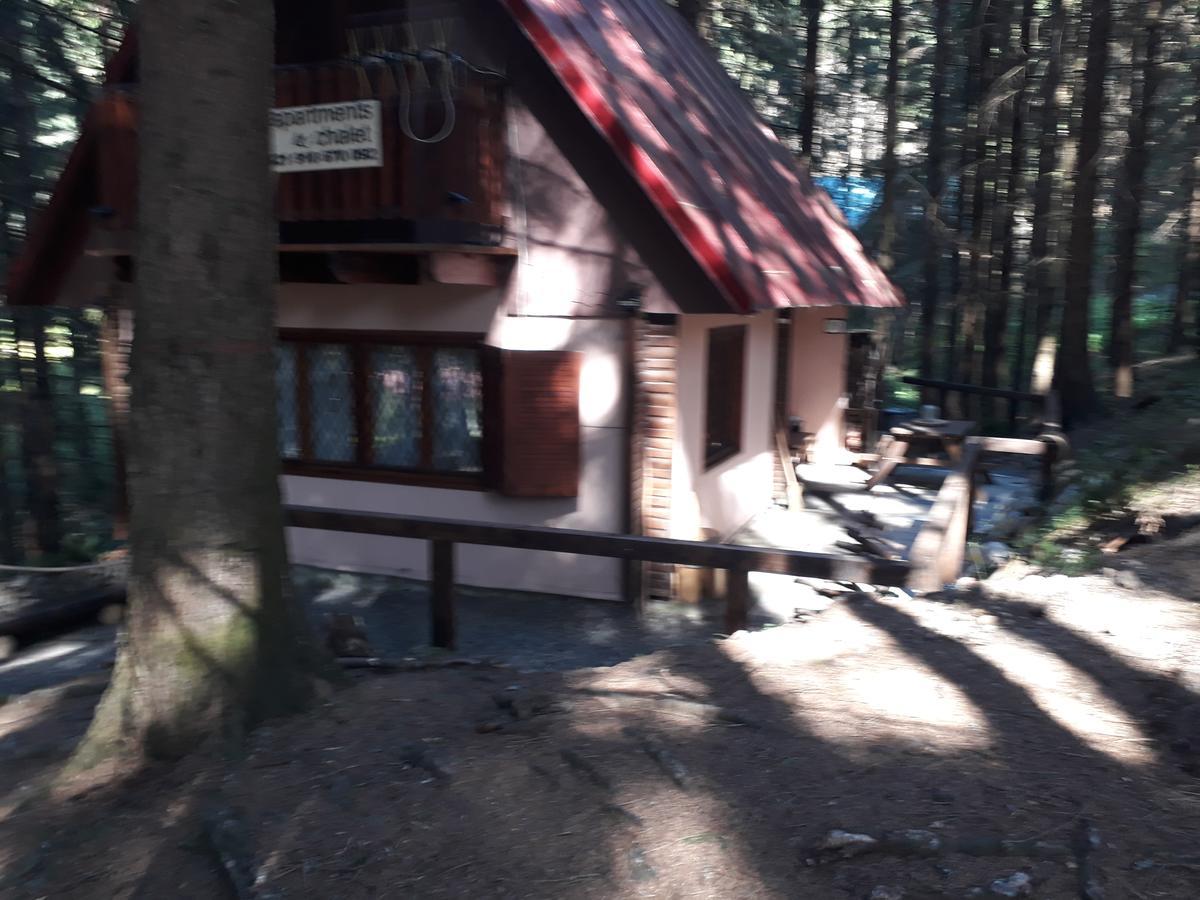Chata Adavy Liptovsky Jan Exterior photo